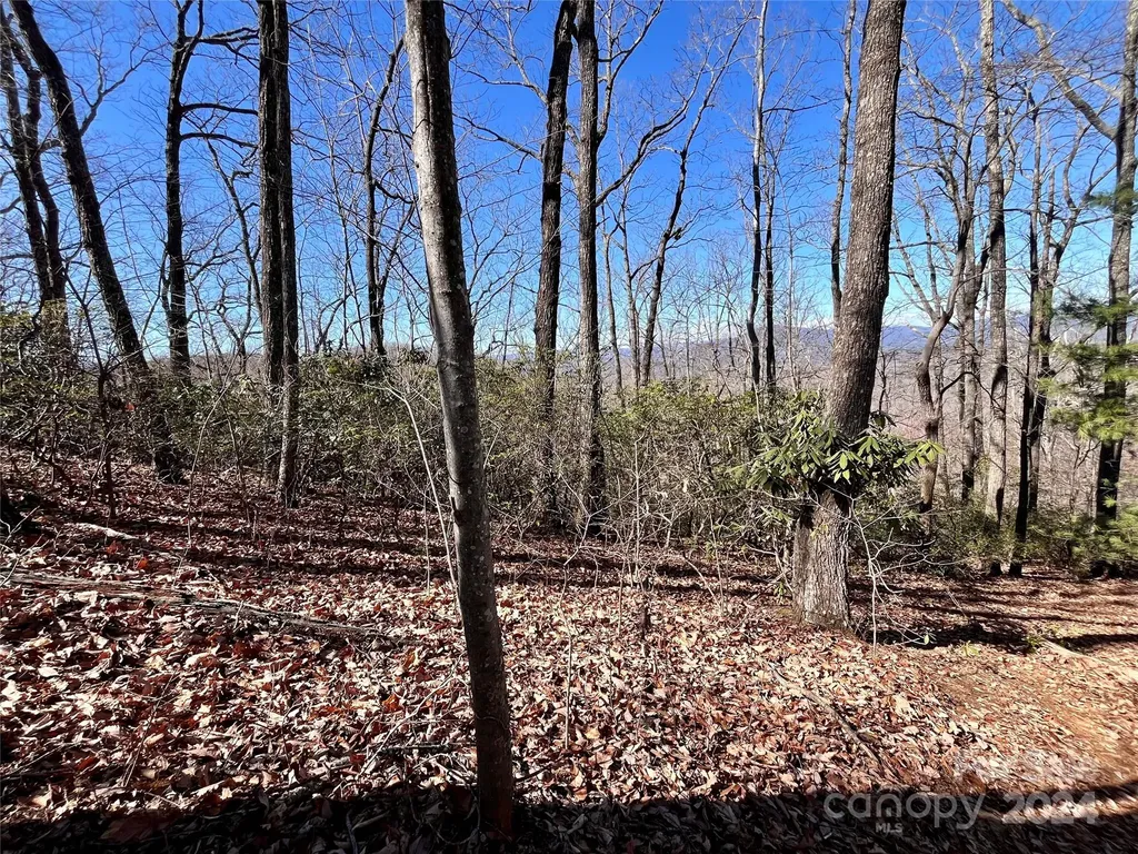 Lot 147 Big View Drive Marion NC 28752