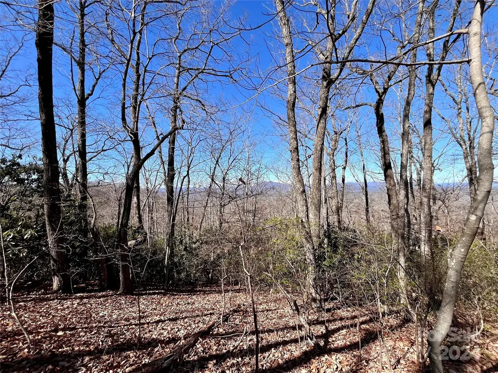 Lot 147 Big View Drive Marion NC 28752