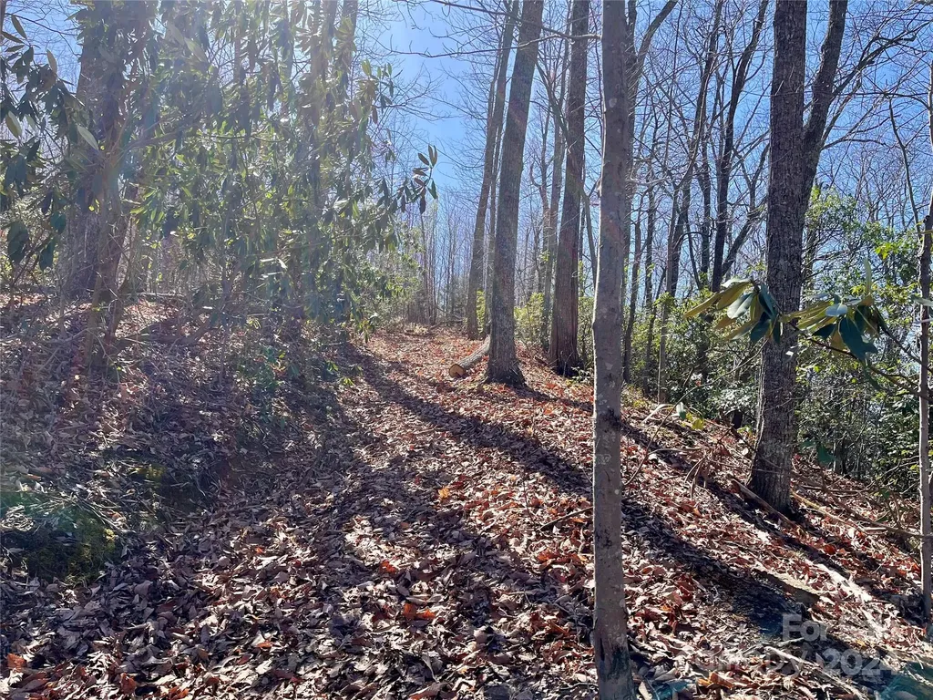 Lot 147 Big View Drive Marion NC 28752