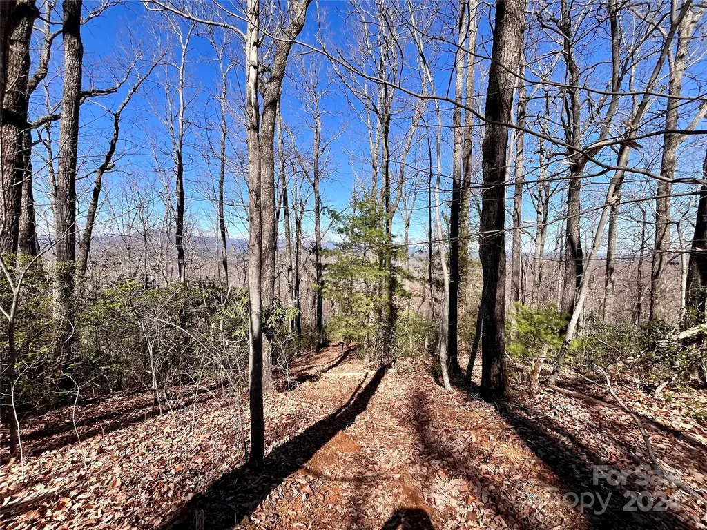 Lot 147 Big View Drive Marion NC 28752