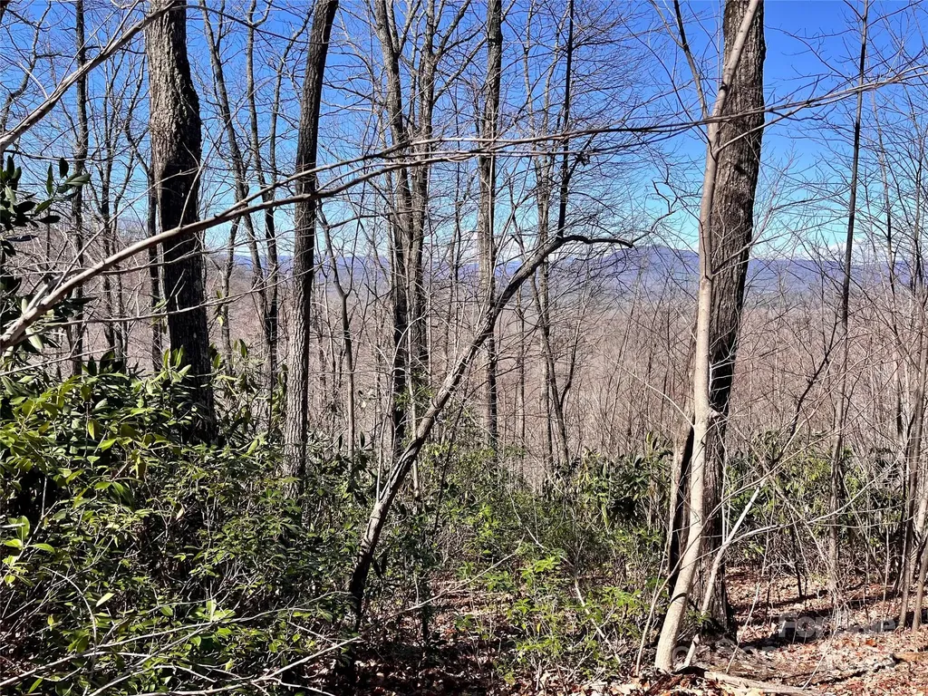 Lot 147 Big View Drive Marion NC 28752