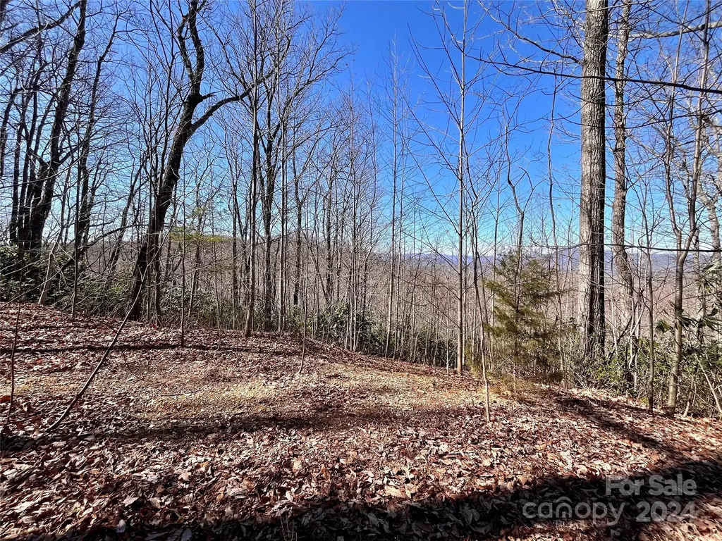 Lot 147 Big View Drive Marion NC 28752