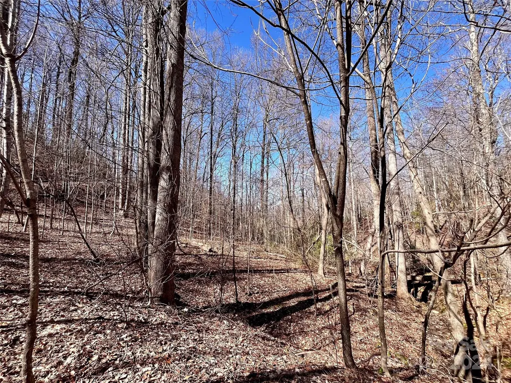 Lot 147 Big View Drive Marion NC 28752