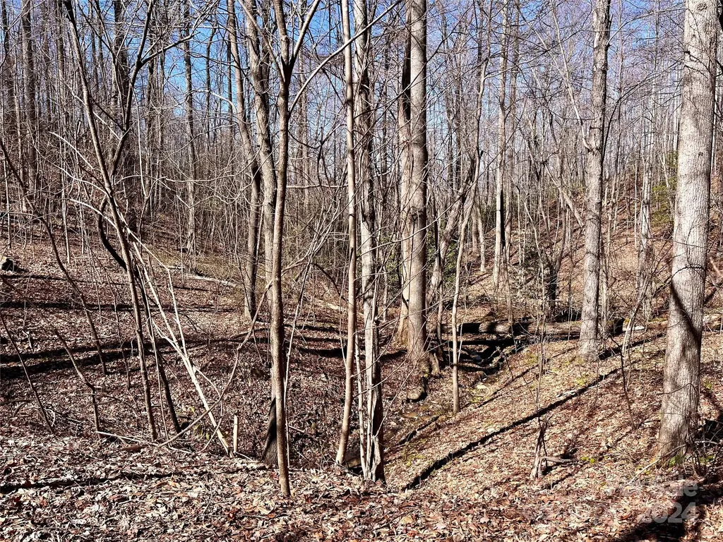 Lot 147 Big View Drive Marion NC 28752