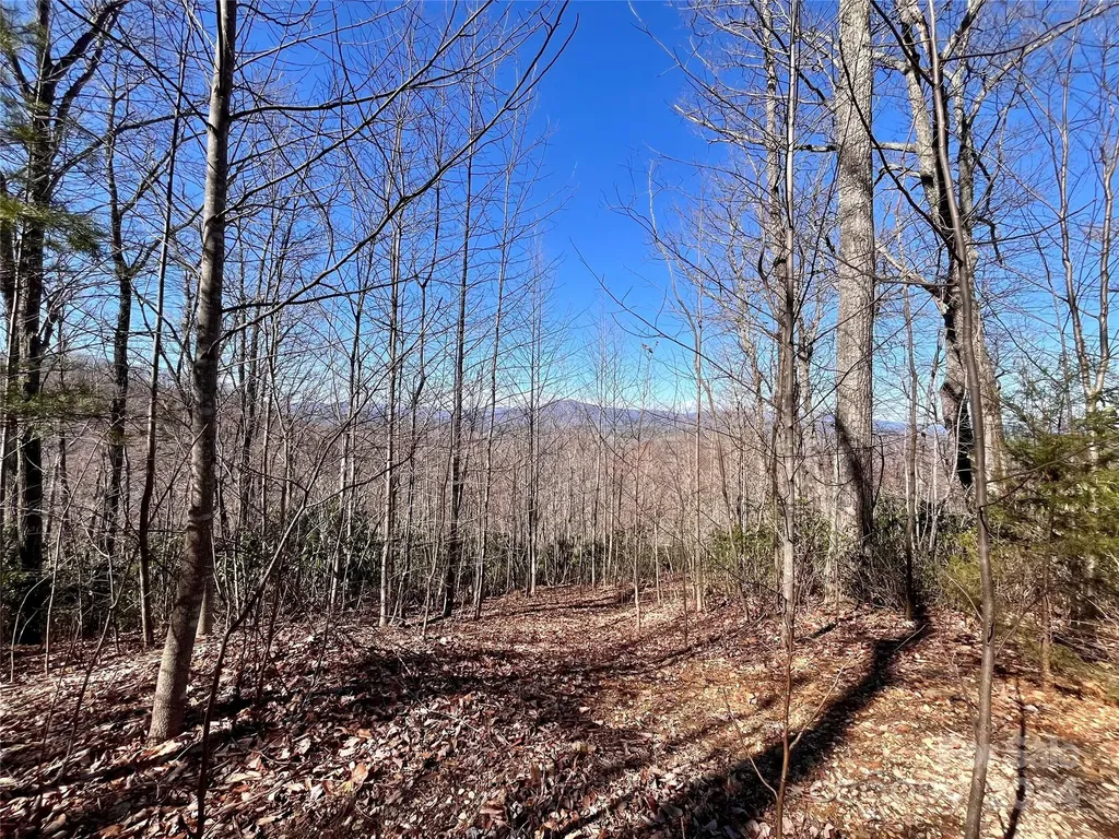 Lot 147 Big View Drive Marion NC 28752