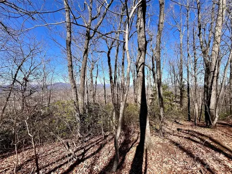 Lot 147 Big View Drive Marion NC 28752
