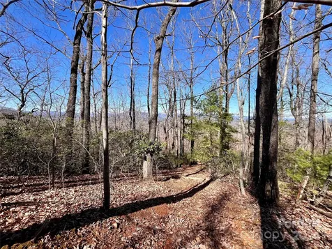 Lot 147 Big View Drive Marion NC 28752