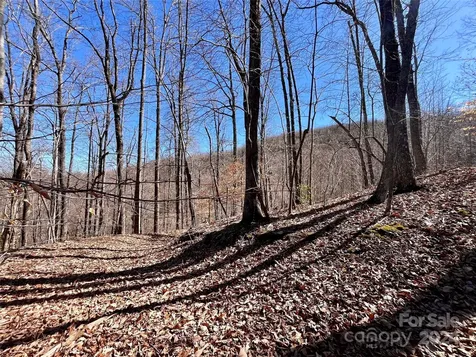 Lot 147 Big View Drive Marion NC 28752