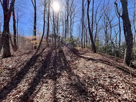 Lot 147 Big View Drive Marion NC 28752