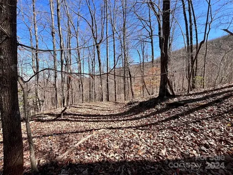 Lot 147 Big View Drive Marion NC 28752