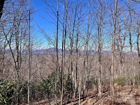 Lot 147 Big View Drive Marion NC 28752