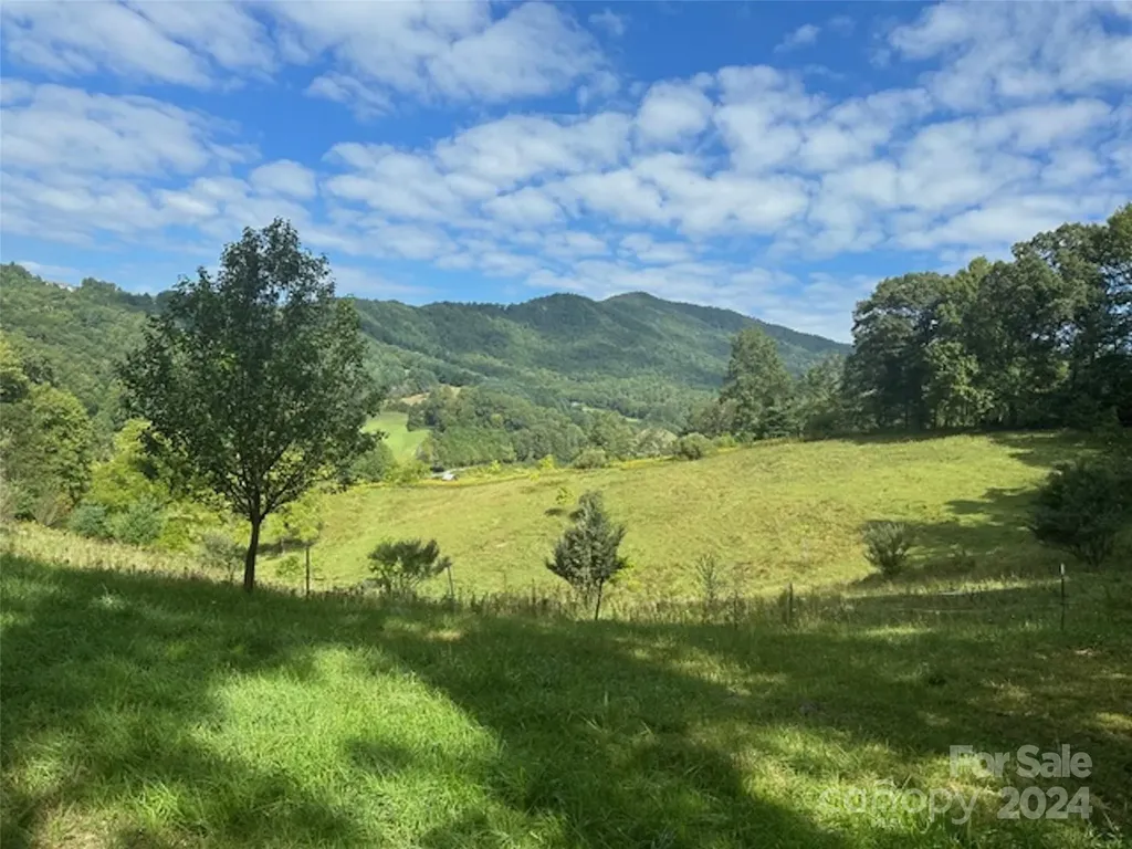 001 Shoal Pond Cove Burnsville NC 28714