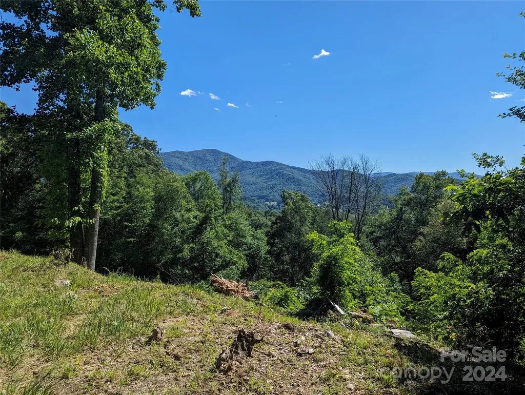 001 Shoal Pond Cove Burnsville NC 28714