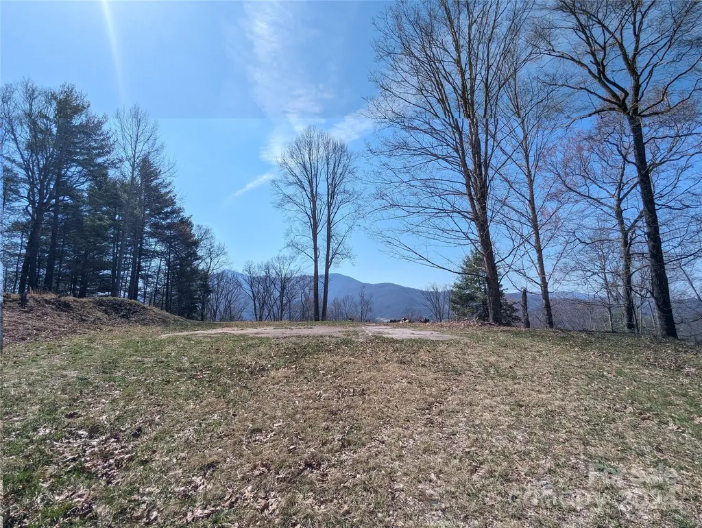 001 Shoal Pond Cove Burnsville NC 28714