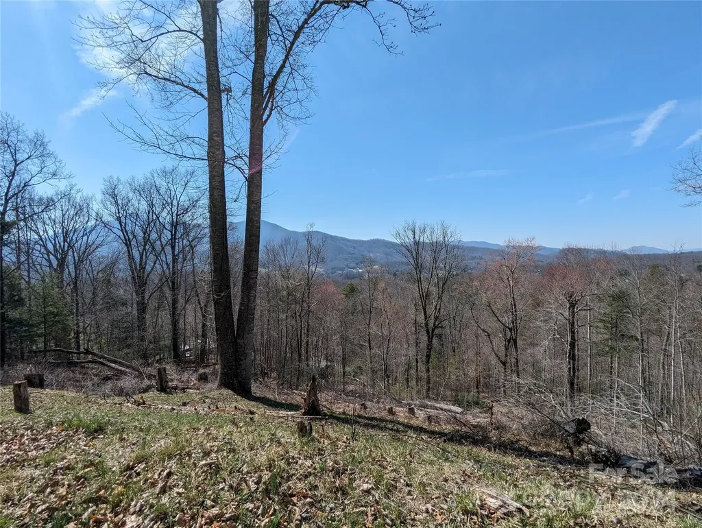 001 Shoal Pond Cove Burnsville NC 28714