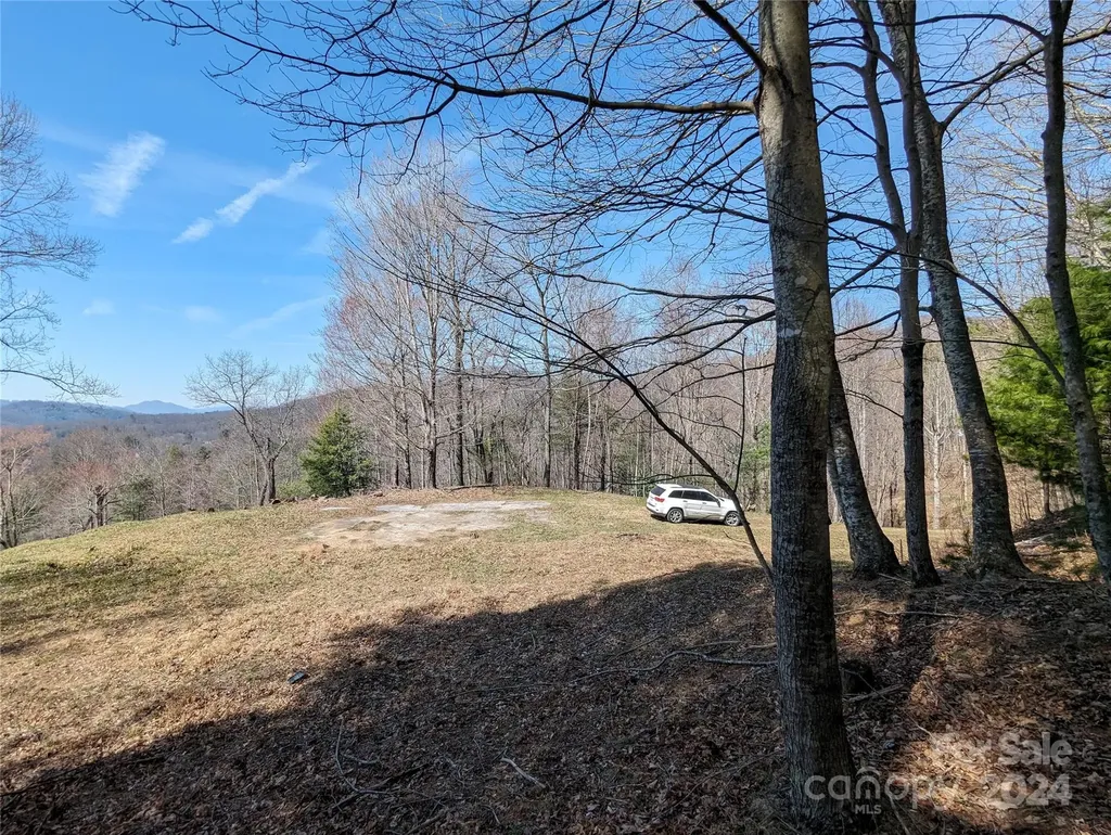 001 Shoal Pond Cove Burnsville NC 28714
