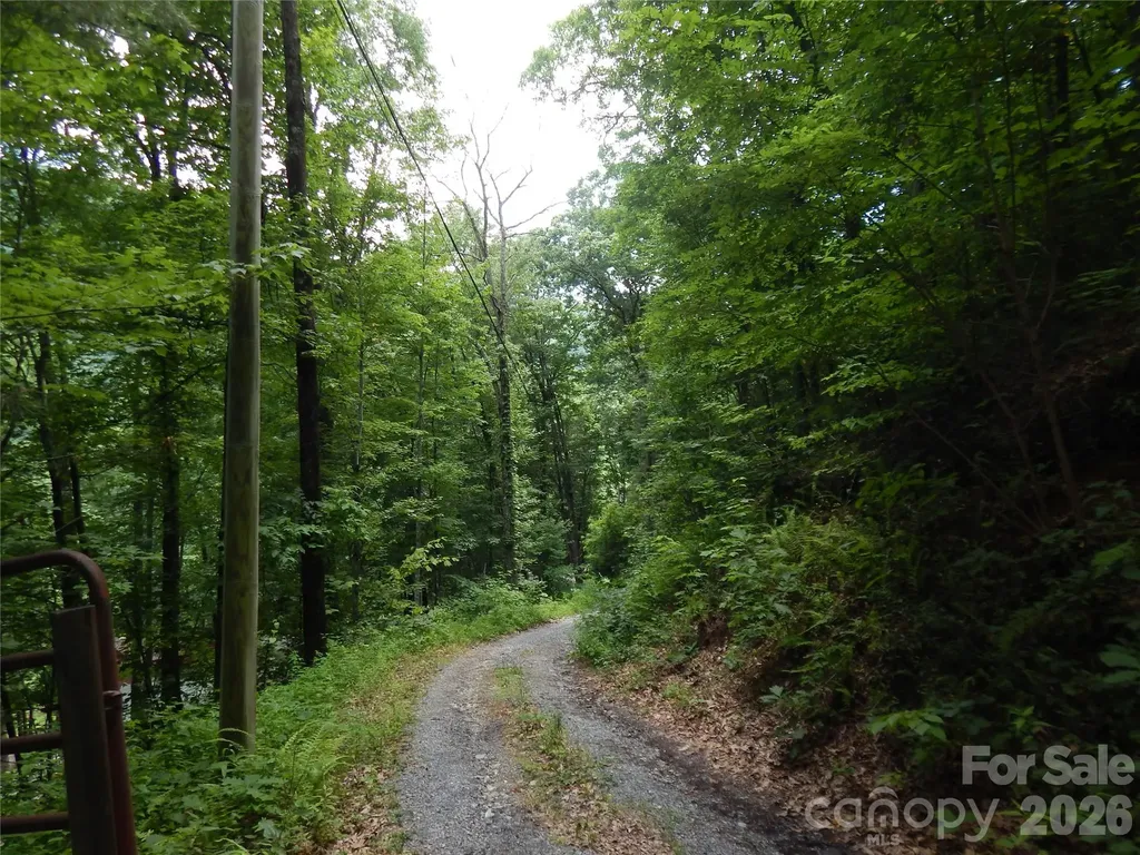 00 Hoot Owl Bill Road Maggie Valley NC 28751
