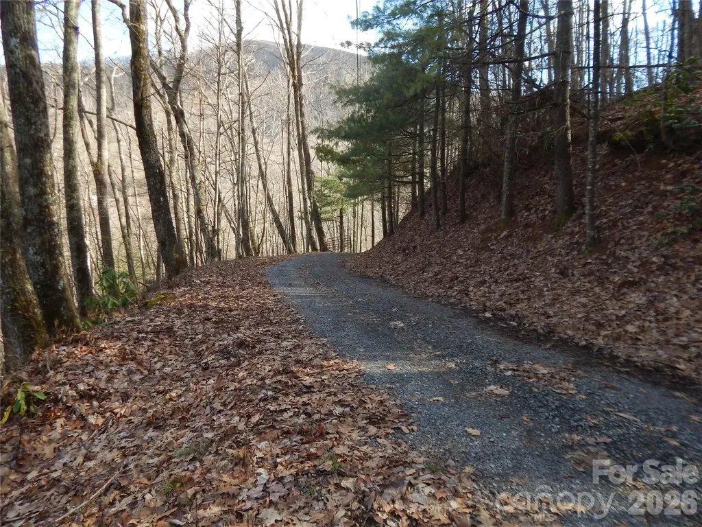 00 Hoot Owl Bill Road Maggie Valley NC 28751