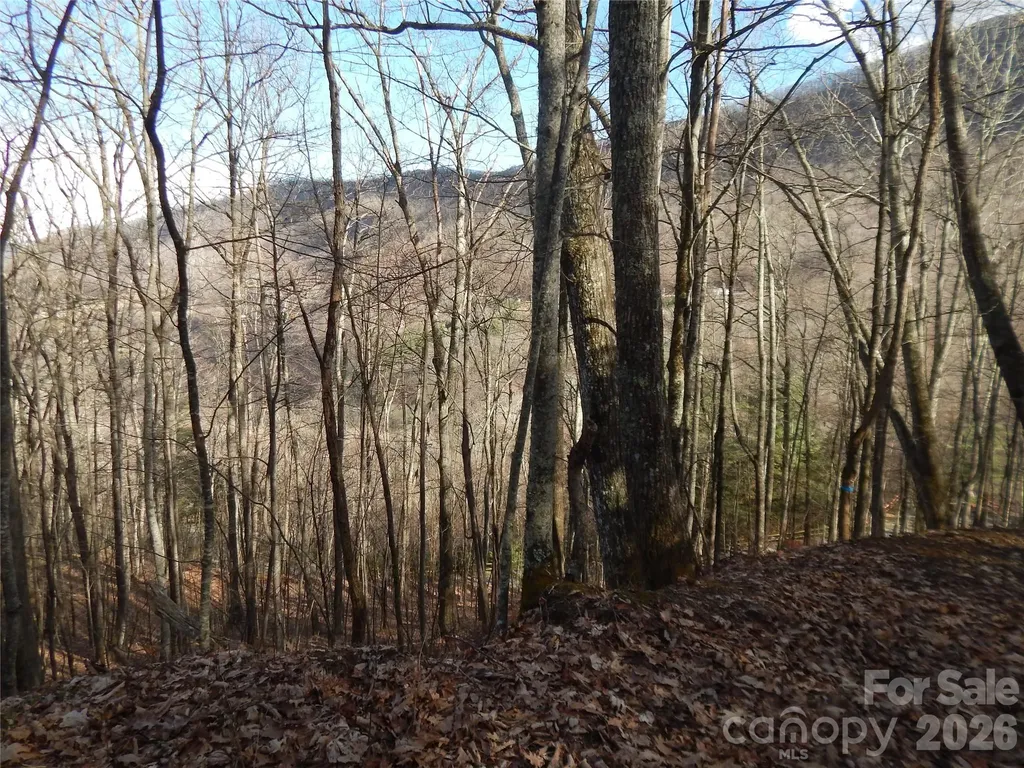 00 Hoot Owl Bill Road Maggie Valley NC 28751