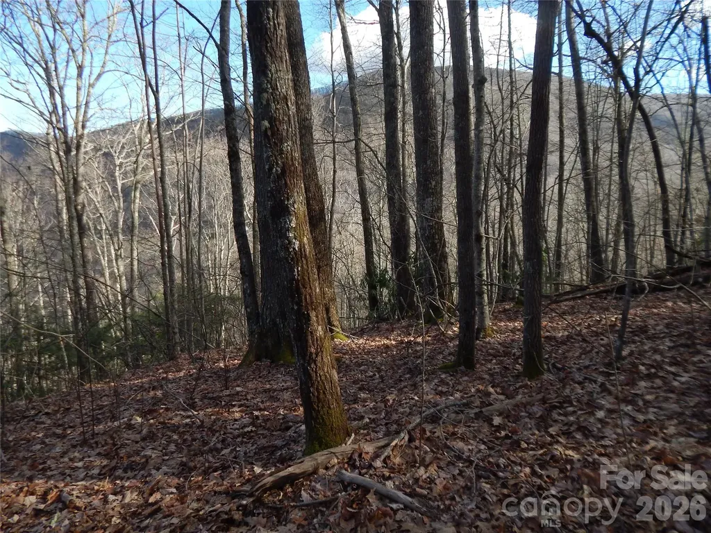 00 Hoot Owl Bill Road Maggie Valley NC 28751