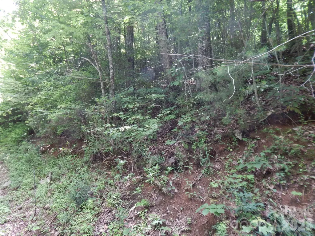 00 Hoot Owl Bill Road Maggie Valley NC 28751