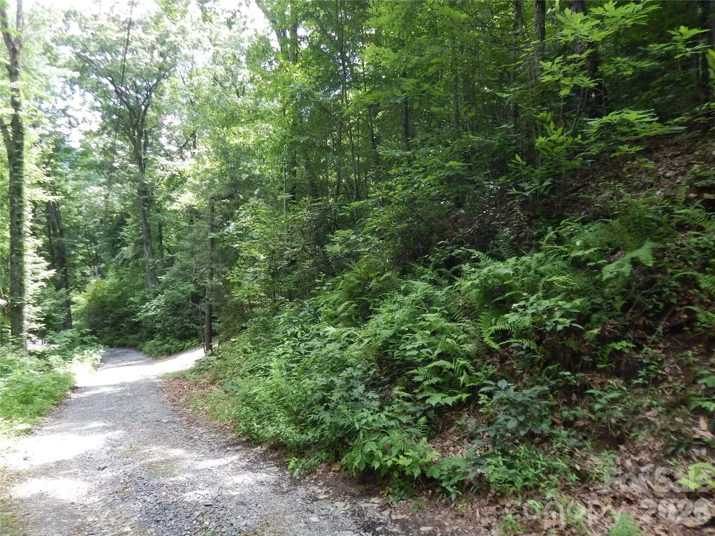 00 Hoot Owl Bill Road Maggie Valley NC 28751