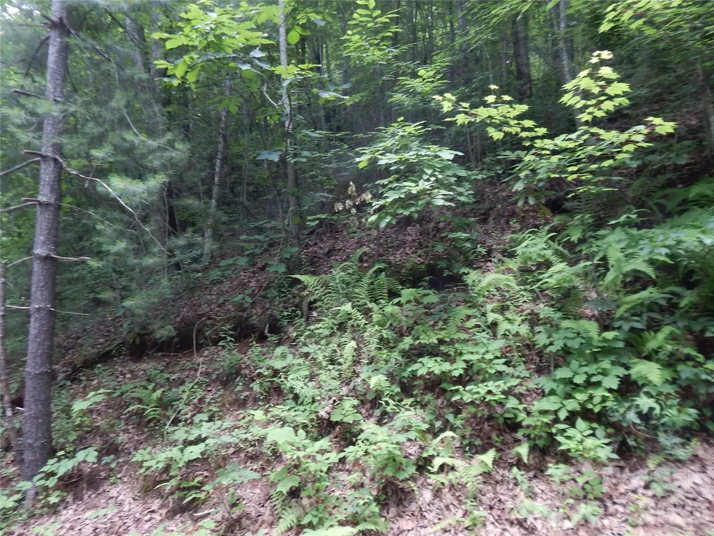 00 Hoot Owl Bill Road Maggie Valley NC 28751