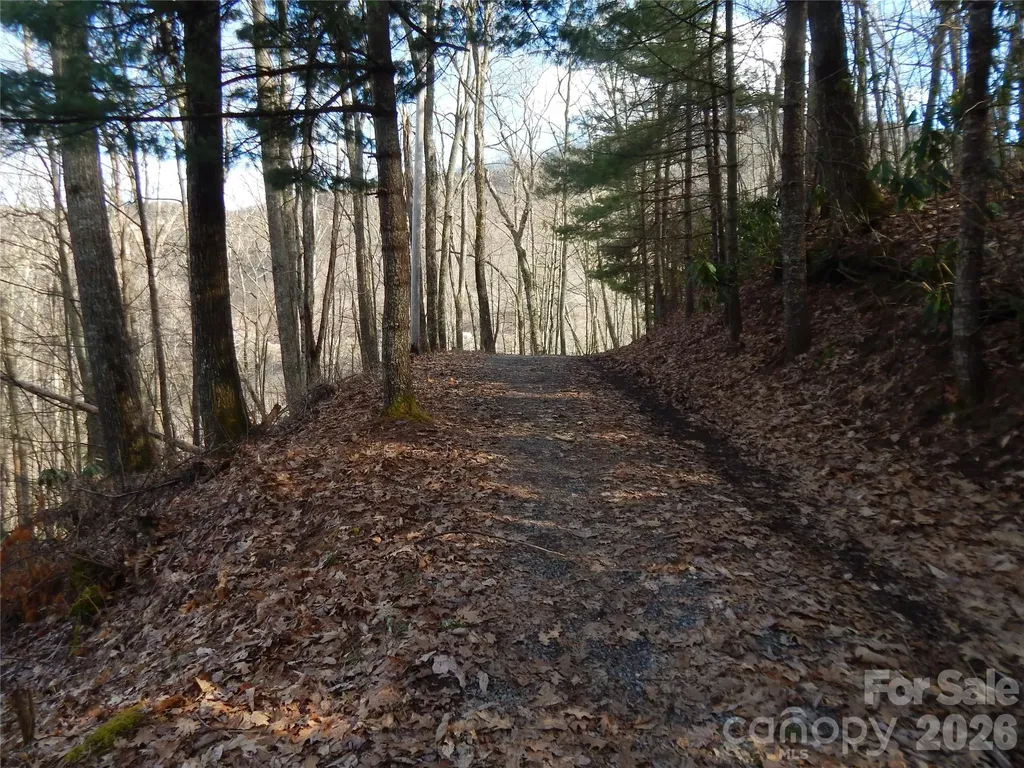 00 Hoot Owl Bill Road Maggie Valley NC 28751