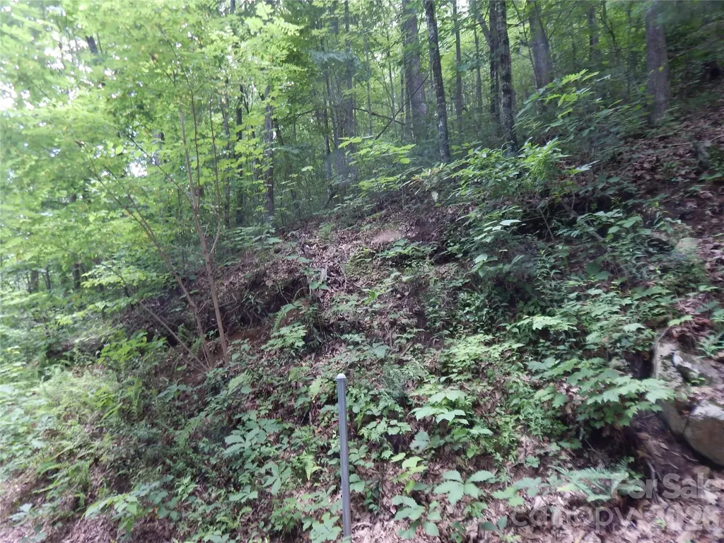 00 Hoot Owl Bill Road Maggie Valley NC 28751