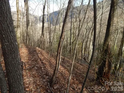 00 Hoot Owl Bill Road Maggie Valley NC 28751