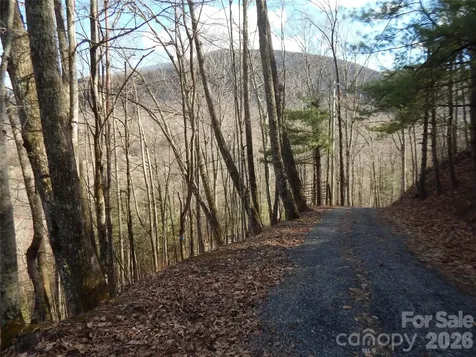 00 Hoot Owl Bill Road Maggie Valley NC 28751