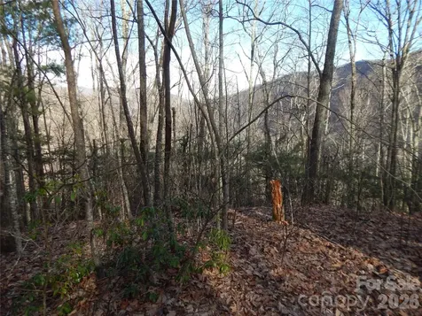 00 Hoot Owl Bill Road Maggie Valley NC 28751