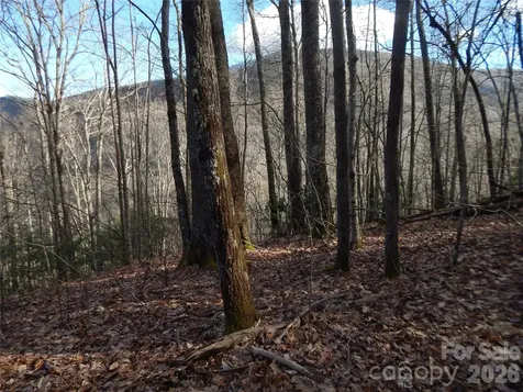 00 Hoot Owl Bill Road Maggie Valley NC 28751