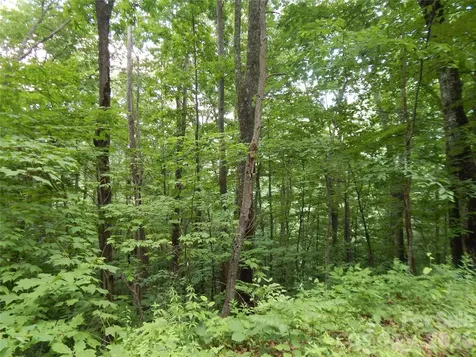 00 Hoot Owl Bill Road Maggie Valley NC 28751