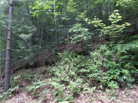 00 Hoot Owl Bill Road Maggie Valley NC 28751