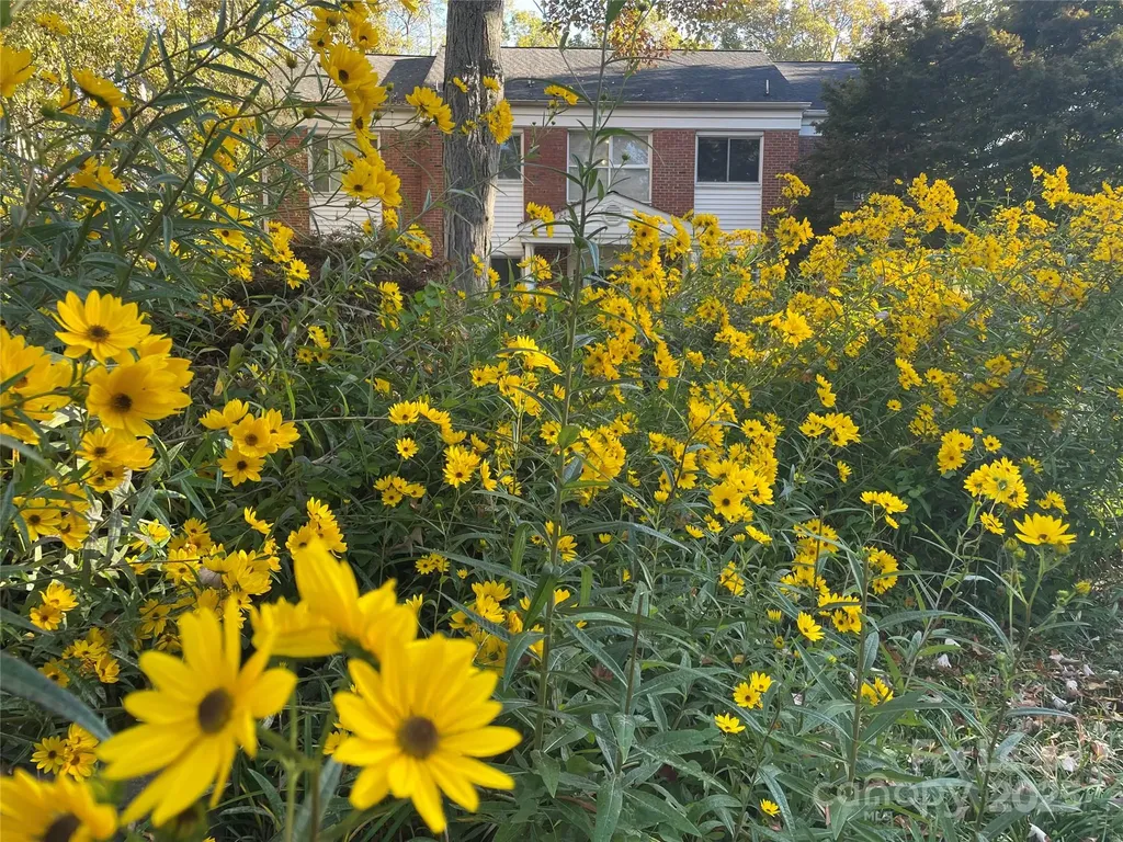 2513 Vail Avenue Charlotte NC 28207