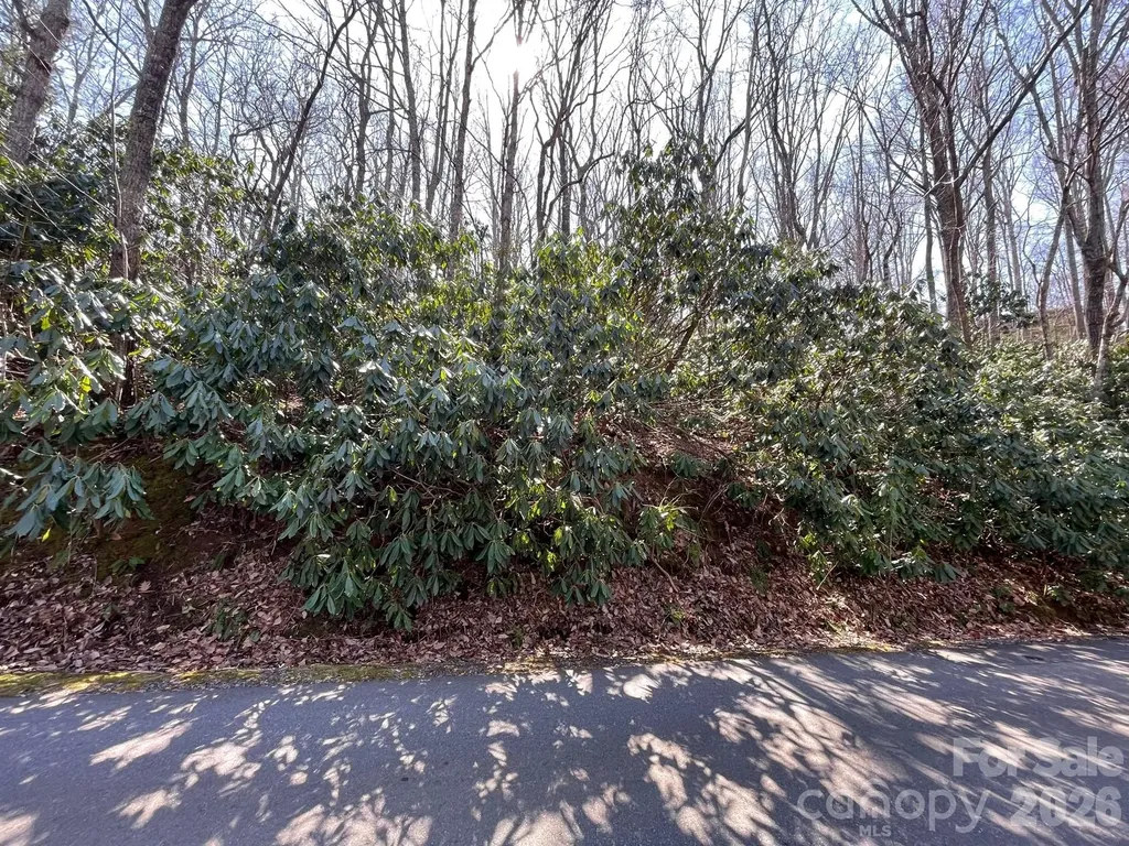 111 Deer Run Lane Asheville NC 28805
