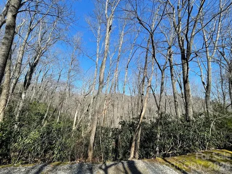 111 Deer Run Lane Asheville NC 28805