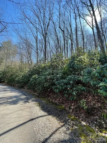 111 Deer Run Lane Asheville NC 28805