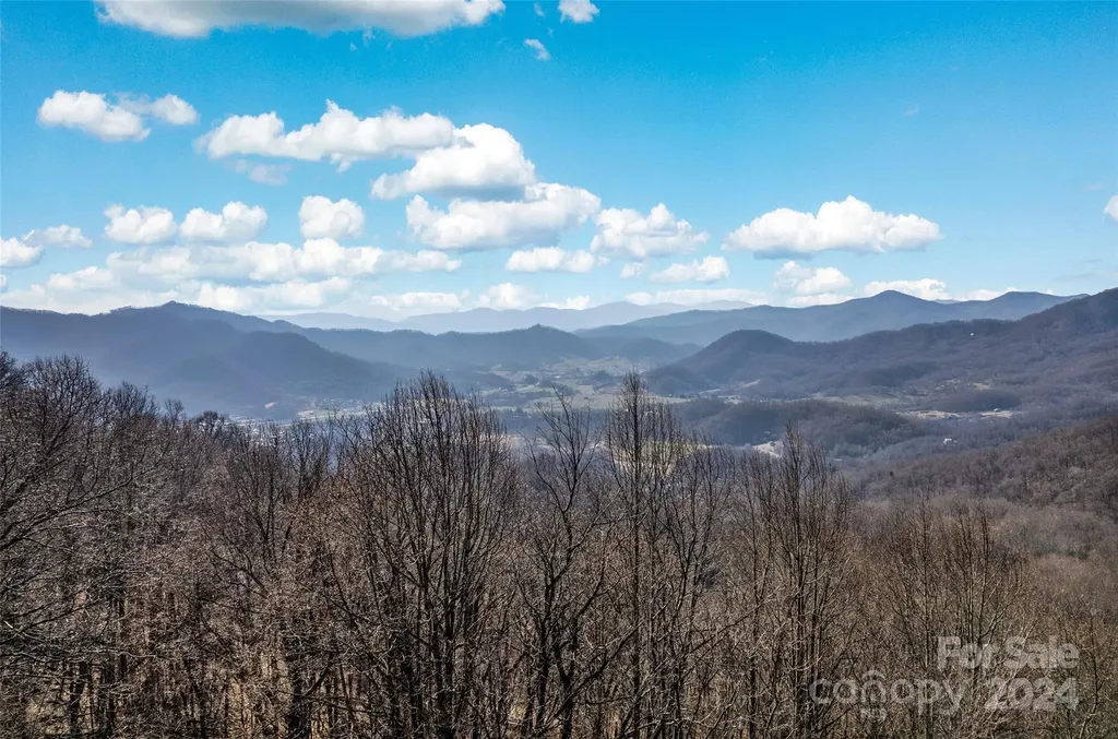 00 Purple Martin Lane Waynesville NC 28785