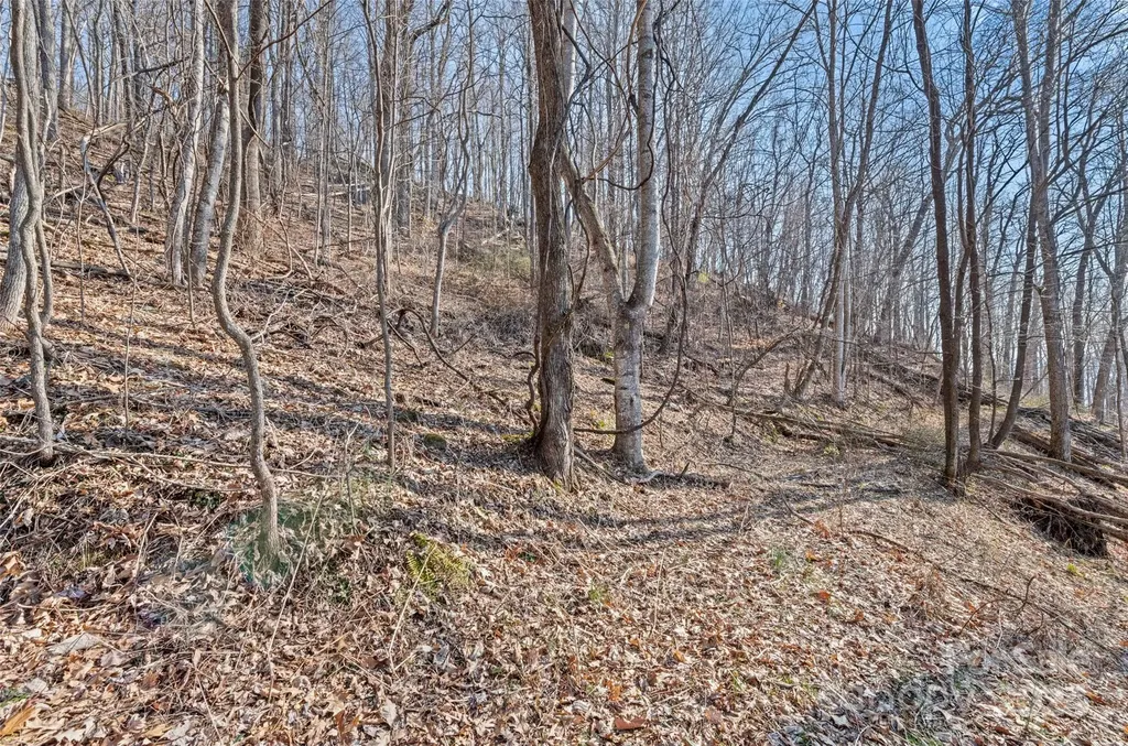00 Purple Martin Lane Waynesville NC 28785