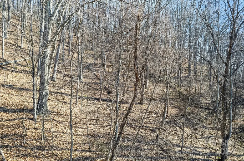 00 Purple Martin Lane Waynesville NC 28785