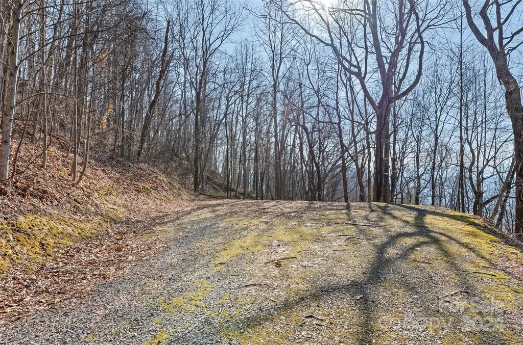 00 Purple Martin Lane Waynesville NC 28785