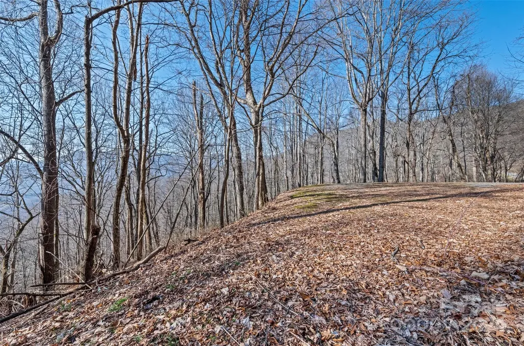 00 Purple Martin Lane Waynesville NC 28785