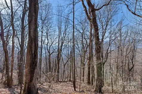 00 Purple Martin Lane Waynesville NC 28785