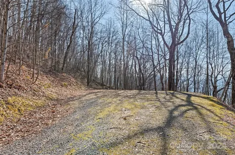 00 Purple Martin Lane Waynesville NC 28785