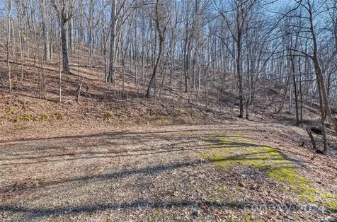 00 Purple Martin Lane Waynesville NC 28785