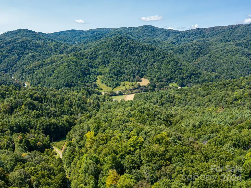 00000 Meadow Fork School Road Hot Springs NC 28743