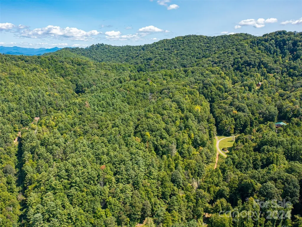 00000 Meadow Fork School Road Hot Springs NC 28743
