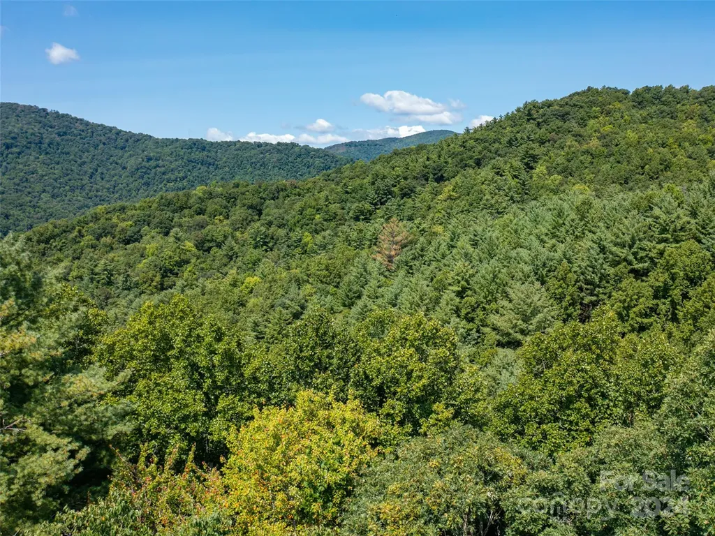 00000 Meadow Fork School Road Hot Springs NC 28743